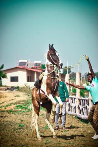 ajinkya jungle lake farms resort
