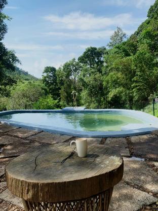 Thottam Farmstay,,0 star