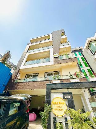 lime tree hotel golf course extension nearby grand hyatt gurgaon