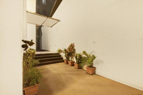 super townhouse city center near mysore palace formerly aavass inn