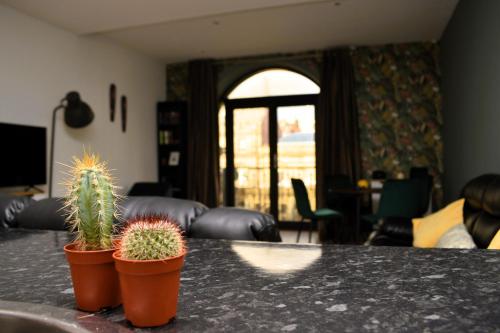 heart of leeds 2 bedroom flat