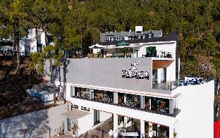 velmore kasauli operated by royal orchid