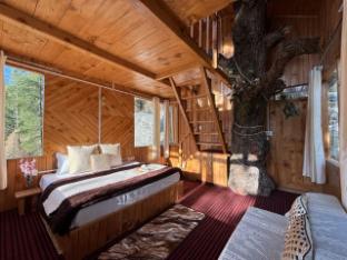 the isisinga a forest retreat in mountain