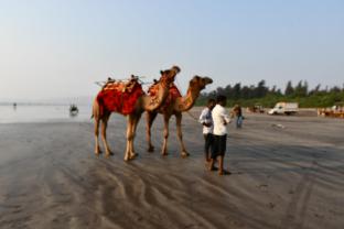 anchor beach resort