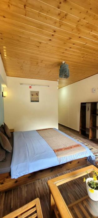 manali and vicinity