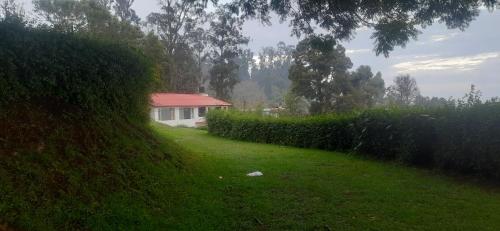 kodaikanal