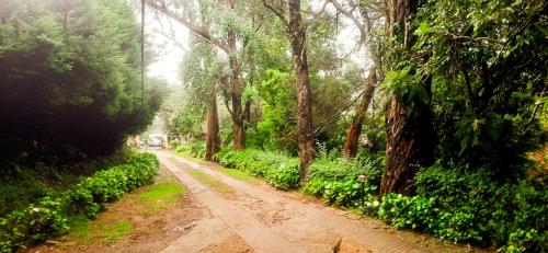happyhuts at green valley view