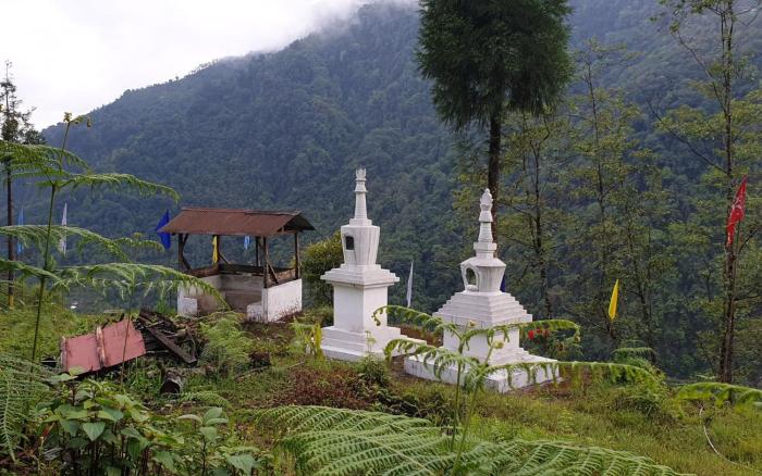 bamboo nest homestay by stayapart