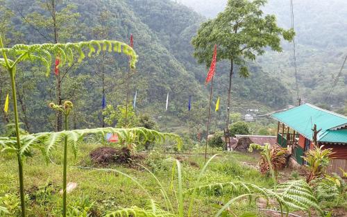 Bamboo Nest Homestay By Stayapart,,0 star