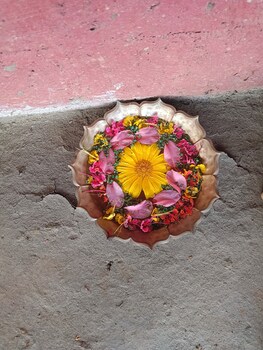 tadmal retreat n resort