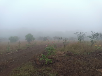 Tadmal Retreat N Resort,,2 star