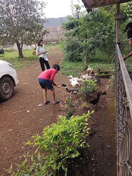 tadmal retreat n resort