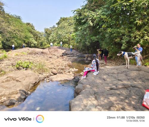 tadmal retreat n resort