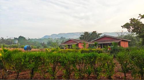 tadmal retreat n resort