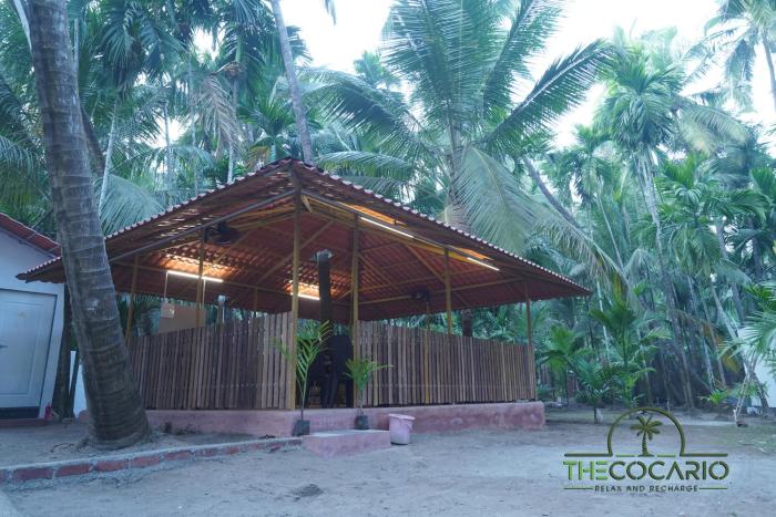 the cocario