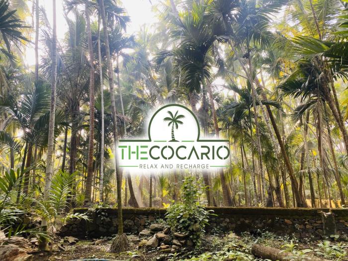 the cocario