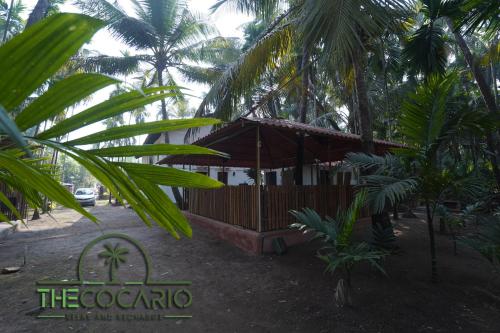 the cocario