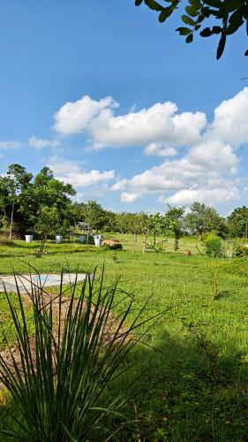 arbor road estate