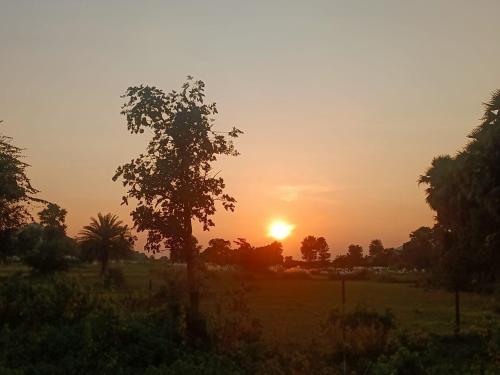 palash nir nature stay by stayapart