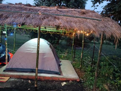 palash nir nature stay by stayapart
