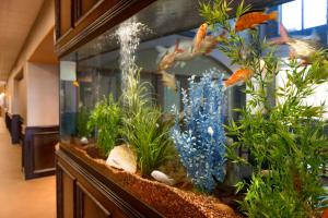Hampton Inn & Suites Pharr,Hidalgo County>>Hidalgo,3 star