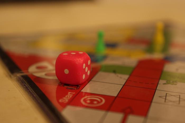 gubbi goodu green resort