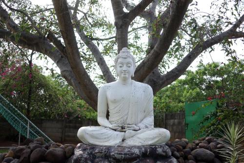 gubbi goodu green resort