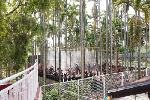 gubbi goodu green resort