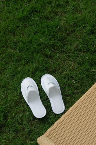 clarks inn bichpuri agra