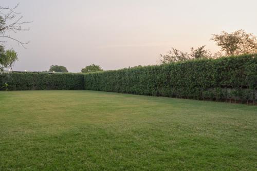 clarks inn bichpuri agra