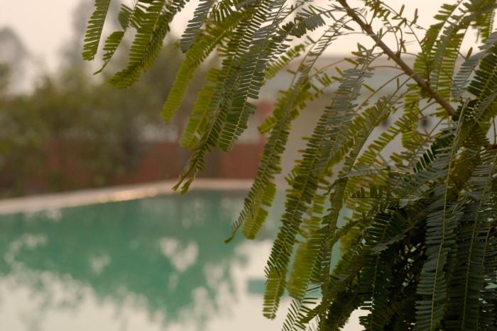 qila hotel