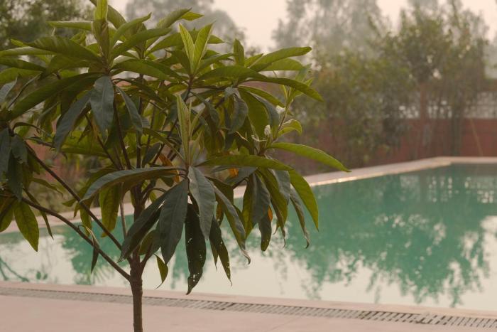 qila hotel
