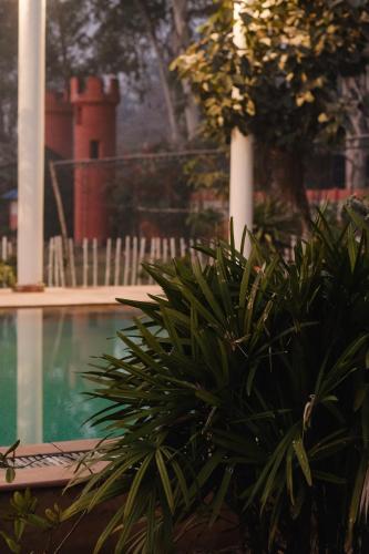 qila hotel