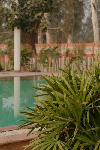 qila hotel