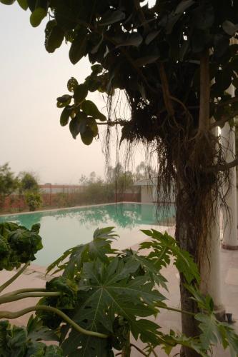 qila hotel