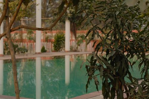 qila hotel
