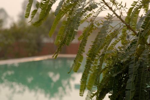 qila hotel