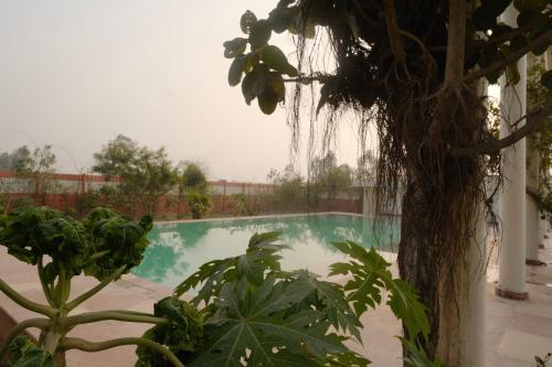 qila hotel