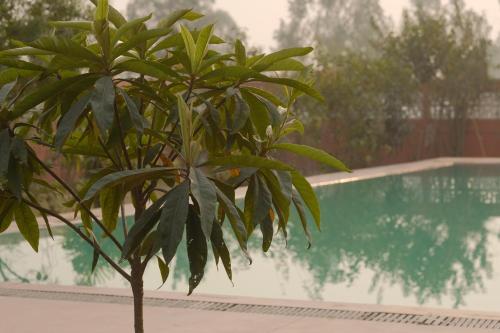 qila hotel
