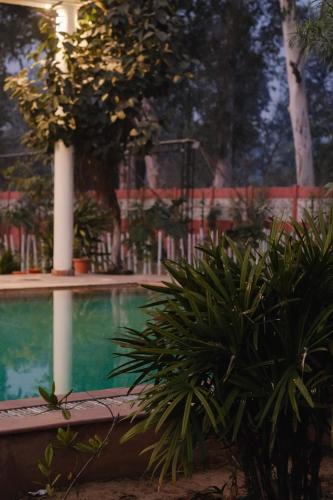 qila hotel