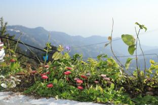 hampton villa retreat