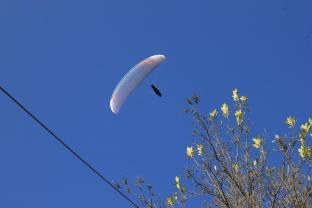 hampton villa retreat