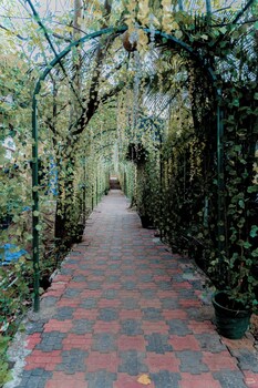 casa aqua mandrem