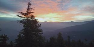 madhav palace homestay fagu