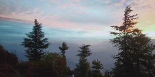 madhav palace homestay fagu