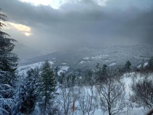 madhav palace homestay fagu