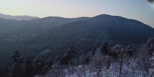 madhav palace homestay fagu