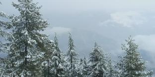 madhav palace homestay fagu