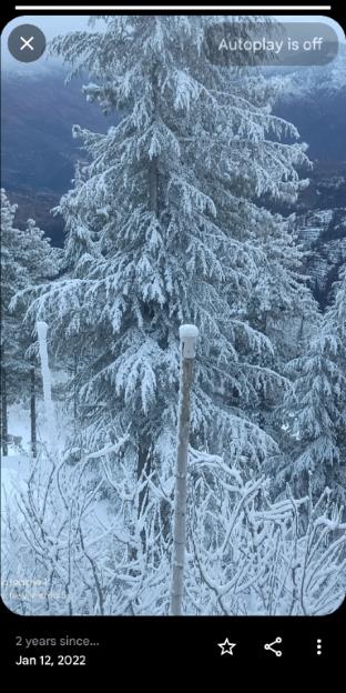 madhav palace homestay fagu