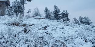 madhav palace homestay fagu